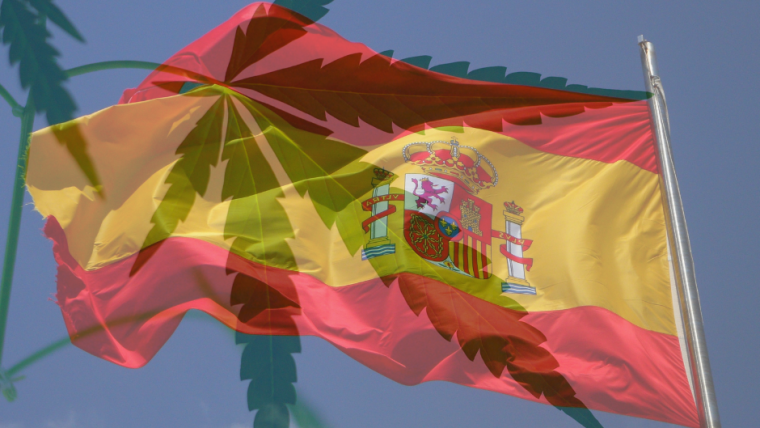 Is CBD Legal in Spain?