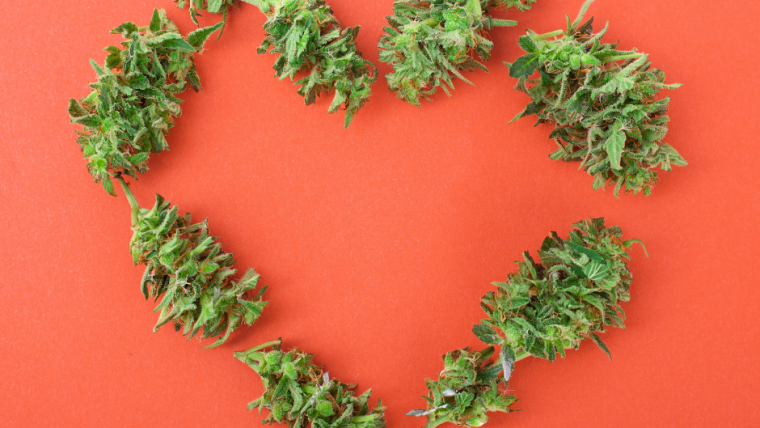 Does CBD make your heart race?