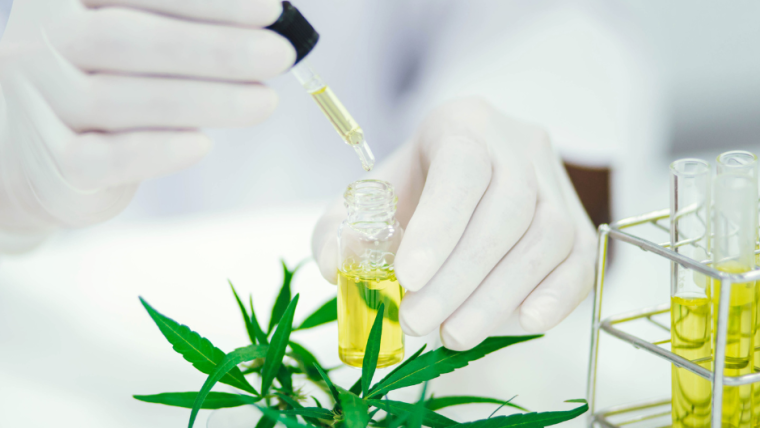 How is CBD oil made?