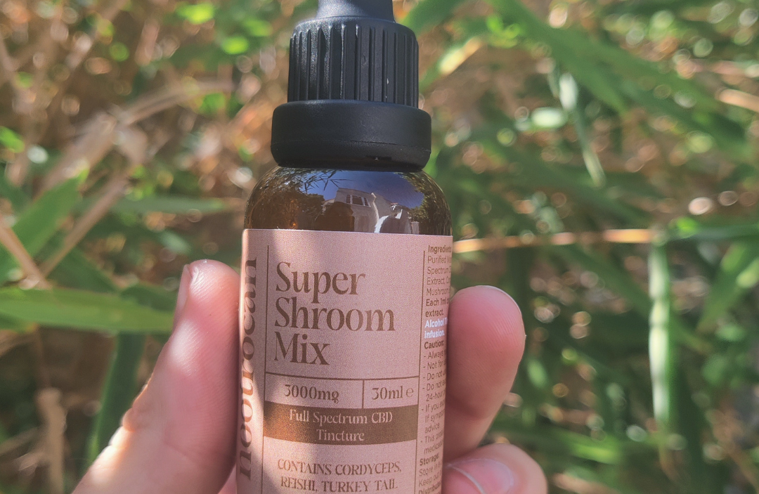 Nootropic super shroom