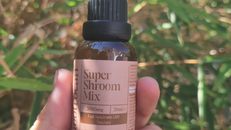 Nootropic super shroom