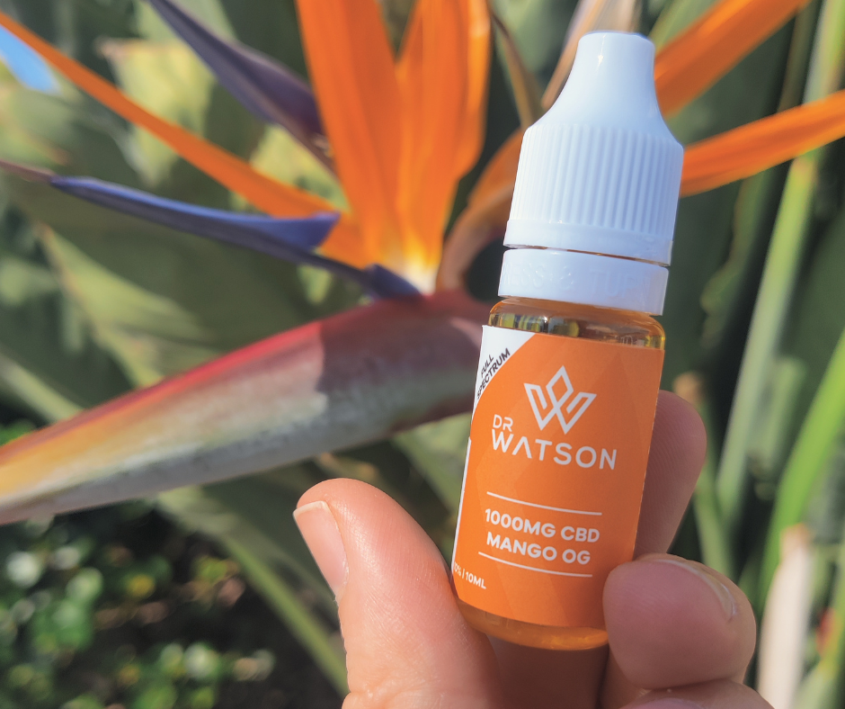 Mellow Indica Vibes: Mango OG E-Liquid by Dr. Watson Product Review -  Express CBD Blog